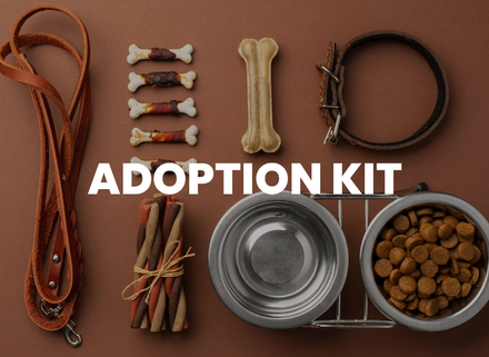 services-adoption-kit.png