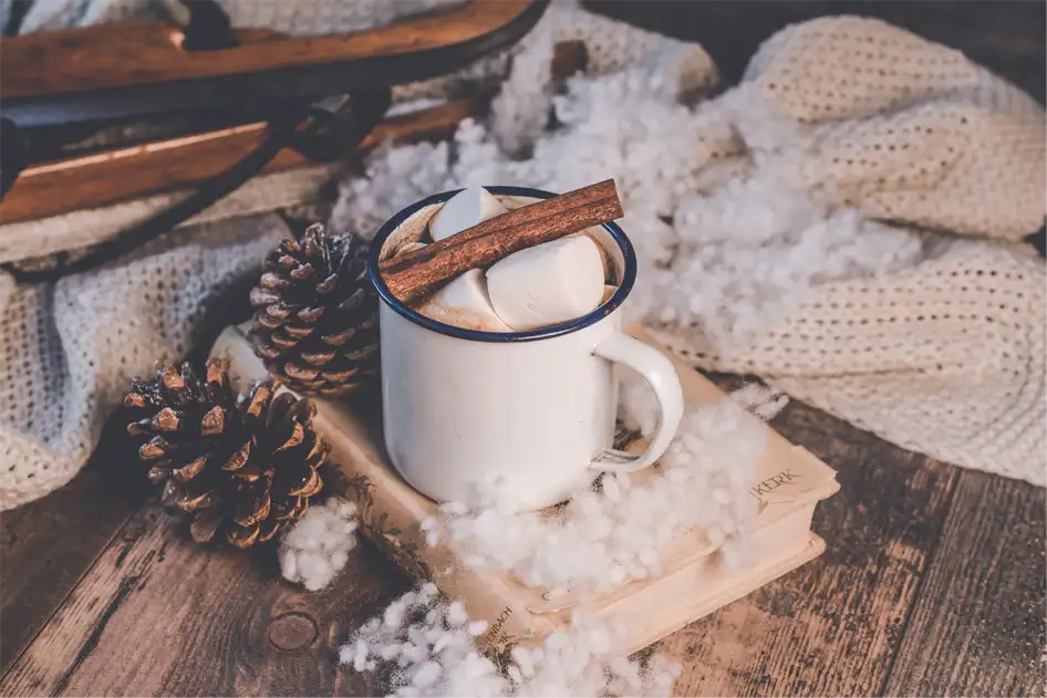 cup with cinnamon Christmas mood