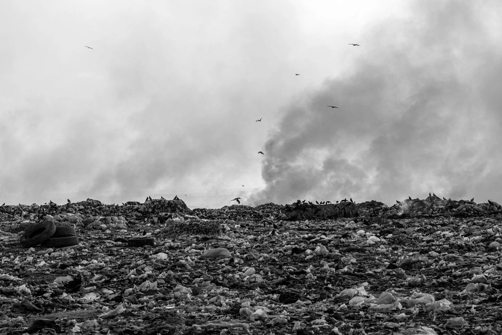 Birds fly over dump with smoke