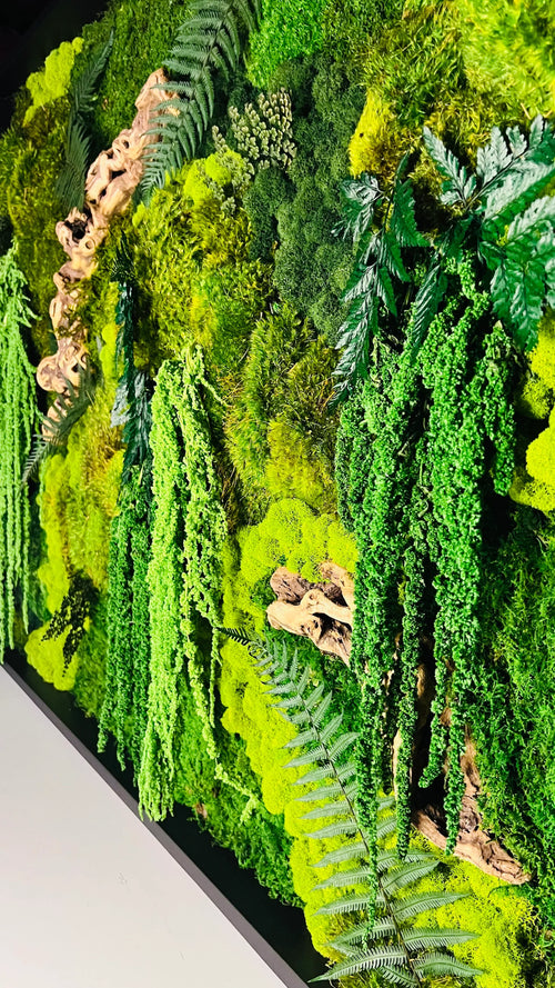 Moss Wall Art