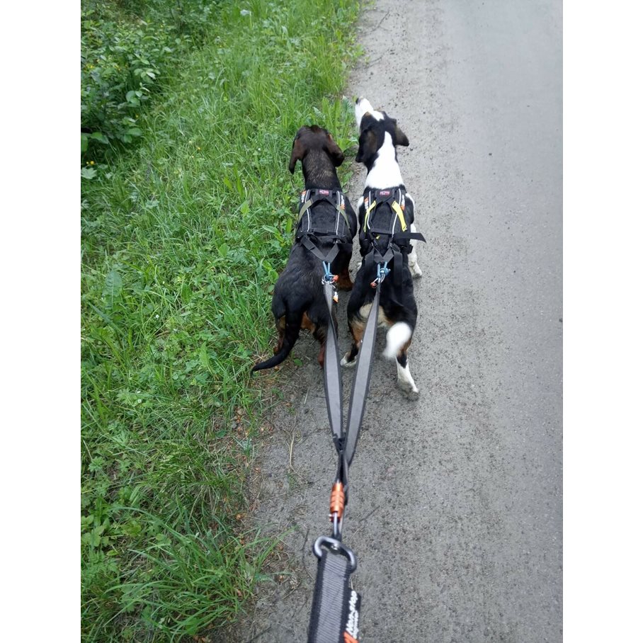 Alternativ bild 1 för Non-stop dogwear Freemotion Harness