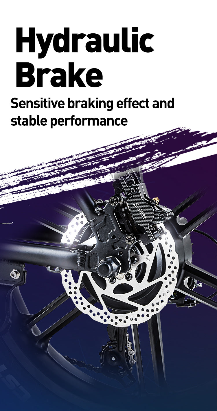 ebike with hydraulic brake