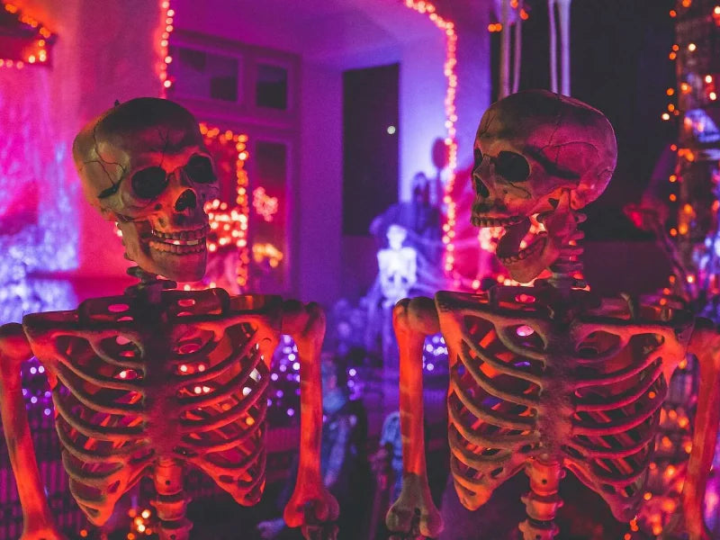 Skeleton Halloween