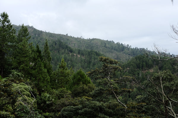 Cerro Mogoton