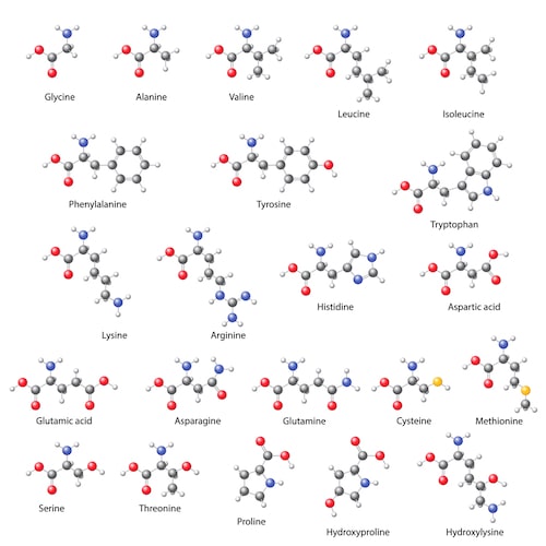 Protein building blocks against depression