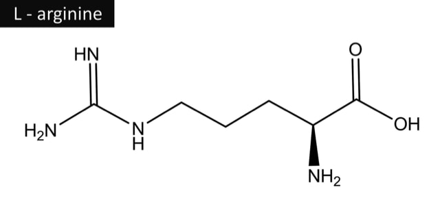 Aminosäure Arginin
