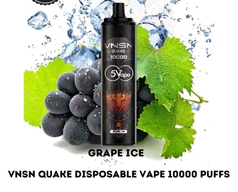 VNSN QUAKE 10000 Puffs Disposable Vape Pod