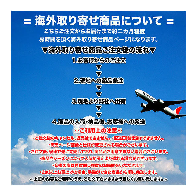 大谷翔平モデル 海外取寄 記念コイン ロサンゼルス ドジャース / 国内