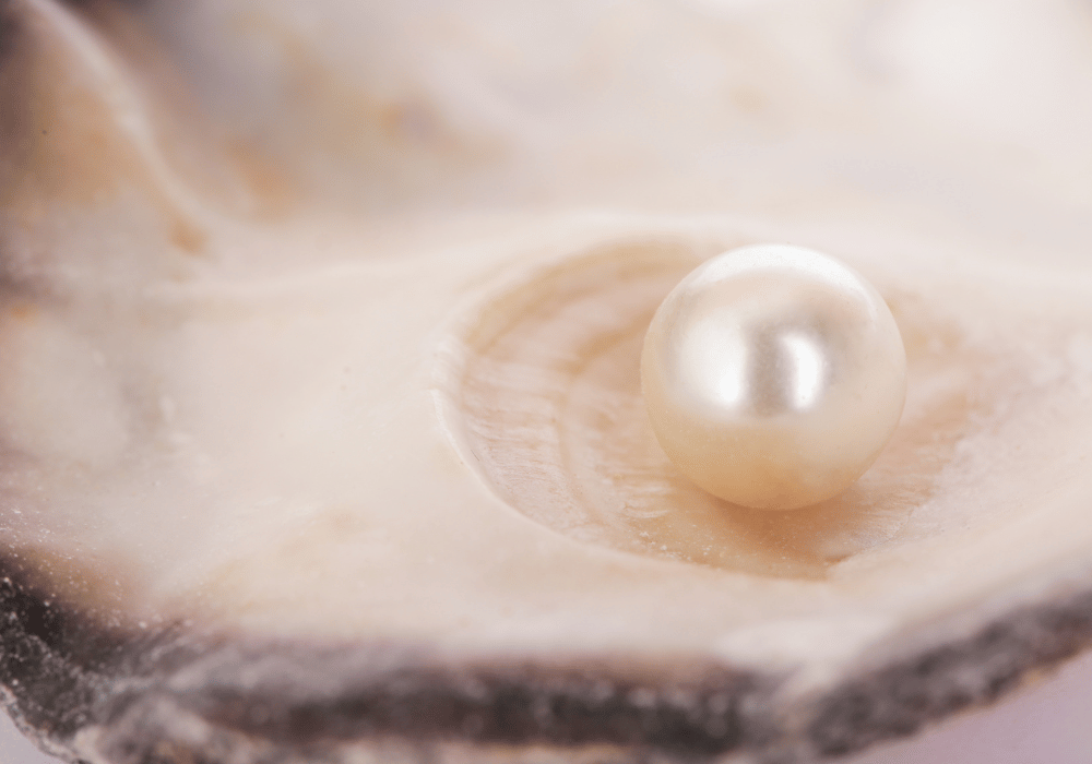 Pearl jewellery the new vogue - Image 6 Pearl Jewellery south sea pearl shell -