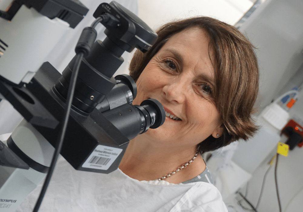 TAILORING TREATMENT FOR OVARIAN CANCER - Professor Anna De Fazio AM in the WIMR laboratory.