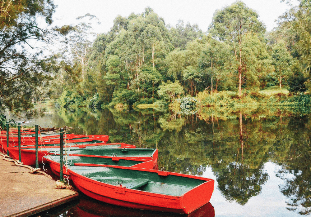 The Most Romantic Proposal Locations in Sydney - Lane Cove National Park -