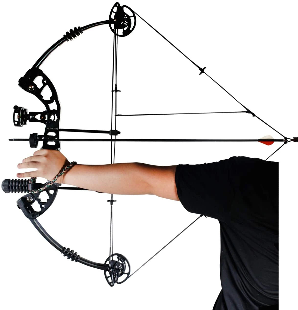 Compound Bow