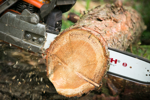 chainsaw chain