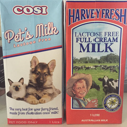 when can puppies have cows milk