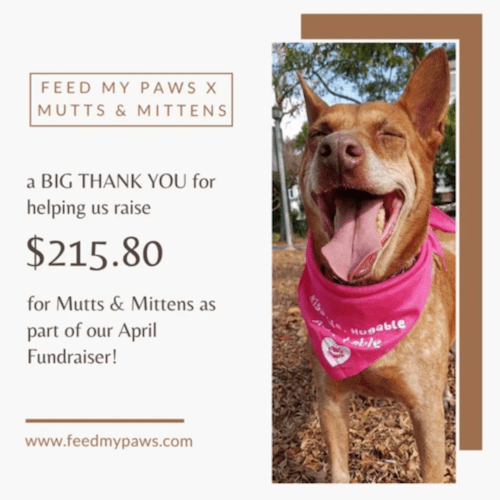 Mutts and Mittens and Feed My Paws Fundraiser Collaboration