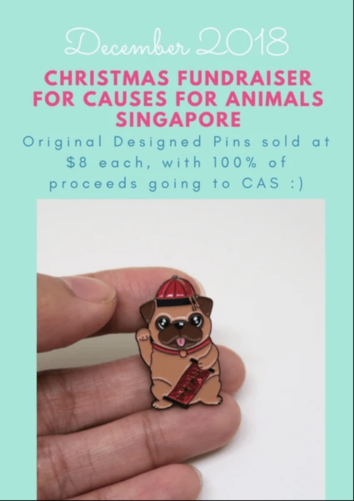 Causes for Animals CAS and Feed My Paws Fundraiser