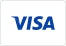 Visa Logo