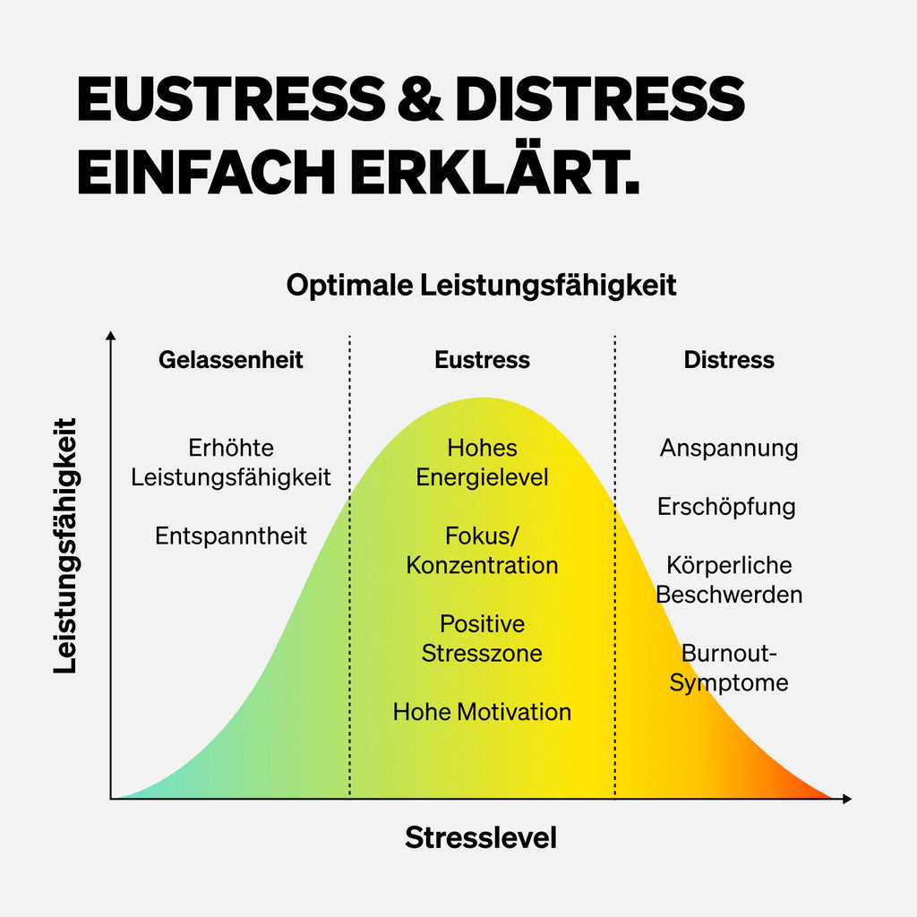 Grafik Eustress-Disstress