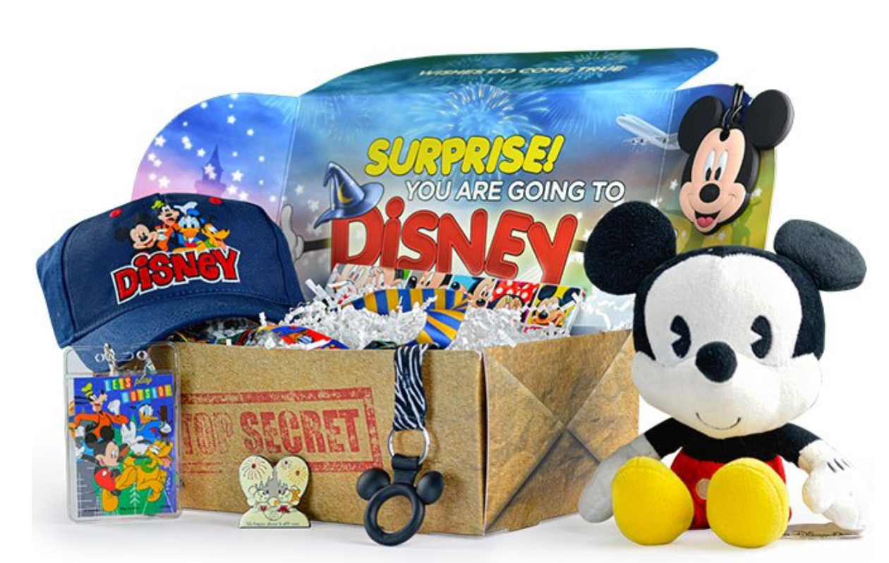 $240 Subscription Box