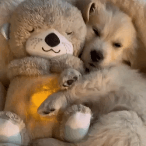 De Snuggle Otter wordt vastgehouden door een hond. De ademende functie van de Snuggle Otter knuffel is te zien. En het licht van de otter knuffel staat aan.