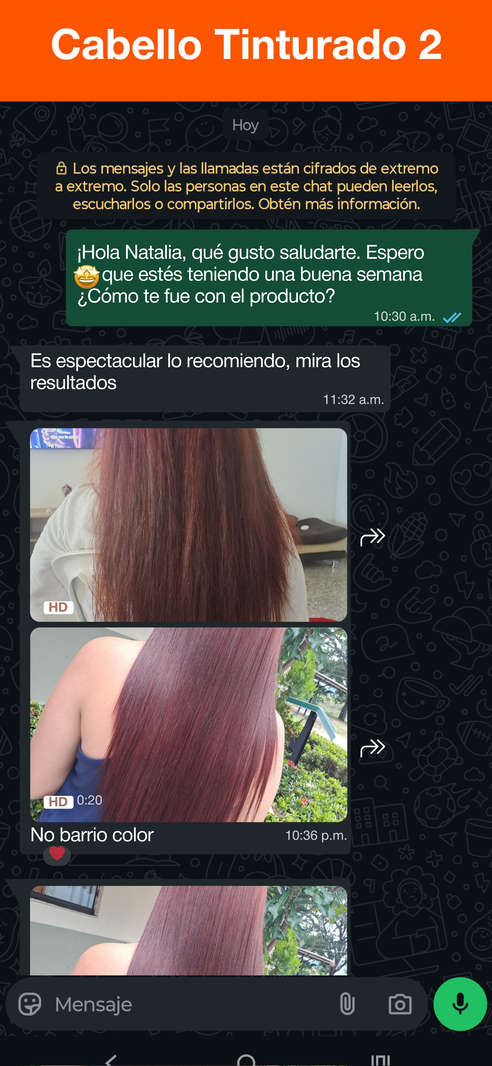 Chat 6