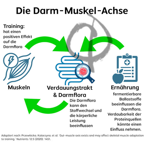 Darmflora verbessern