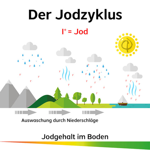 Jod Zyklus