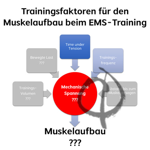 Muskeln aufbauen