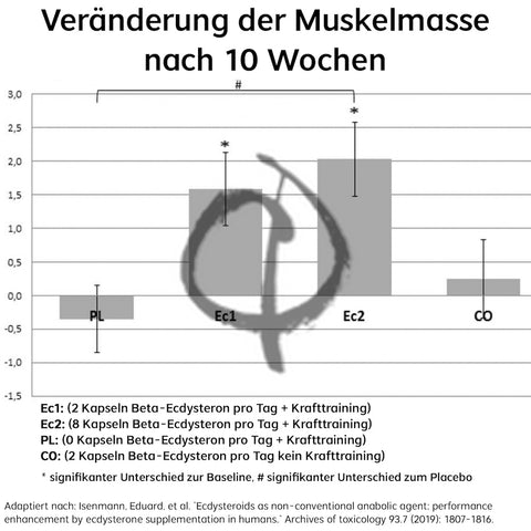 Turkesteron Muskelaufbau