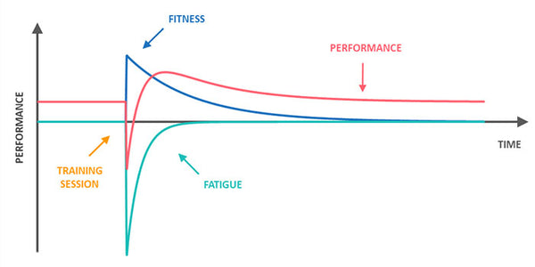 Ermüdung Trainingsfrequenz