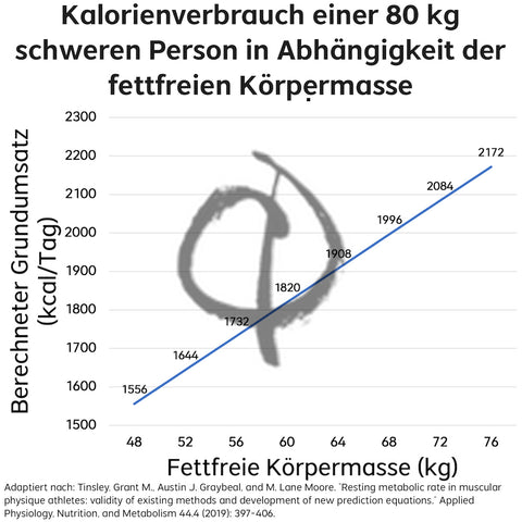 Kalorienverbrauch Muskelmasse