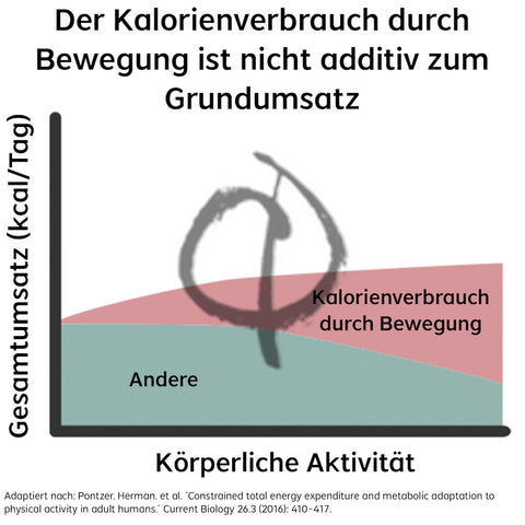 Kalorienverbrauch Sport