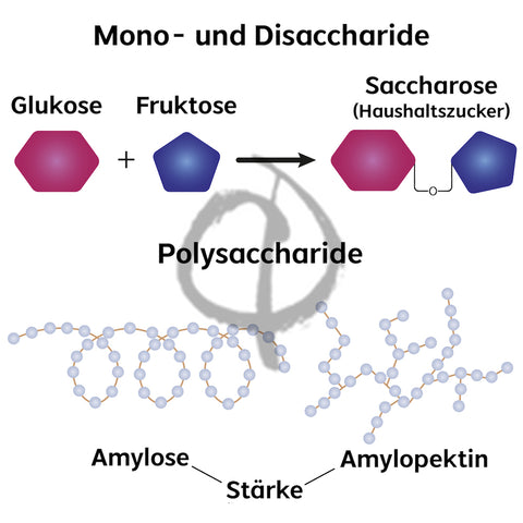 komplexe Kohlenhydrate