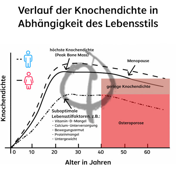 Osteoporose Vorsorge