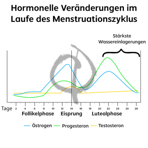 Menstruationszyklus Wassereinlagerung