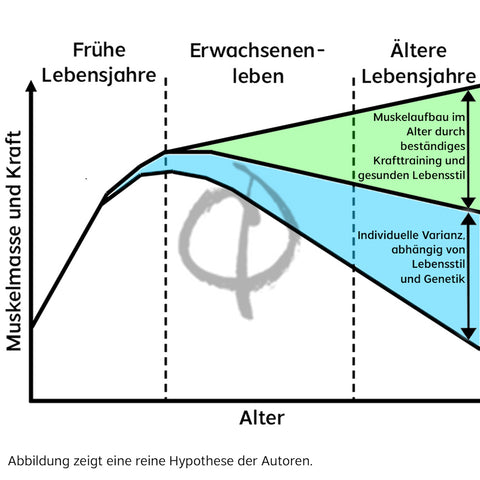 Muskelaufbau im Alter