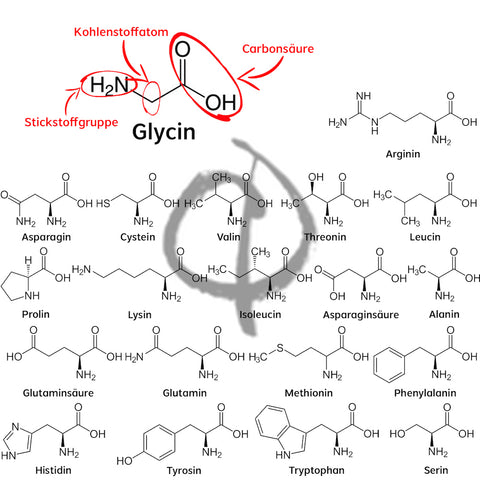 Glycin Struktur