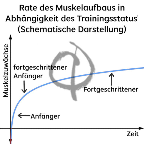 Schnell Muskeln aufbauen