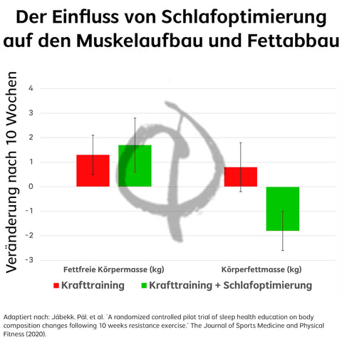 Schlaf Muskelaufbau