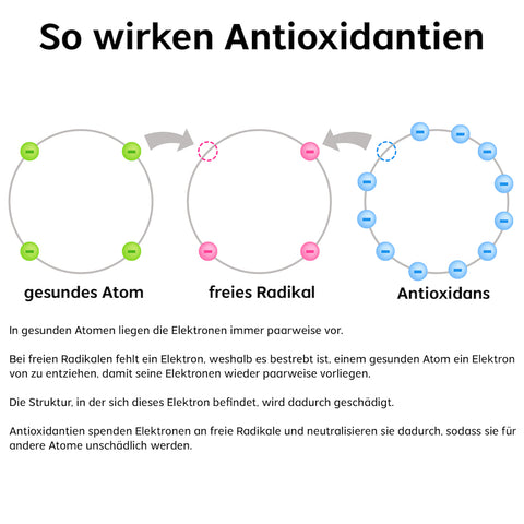 Wirkungen von Antioxidantien