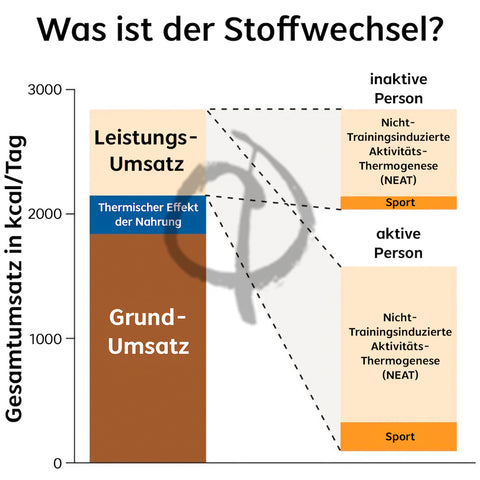 Stoffwechsel anregen