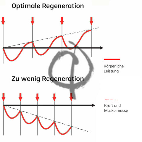 uebertraining-Regeneration