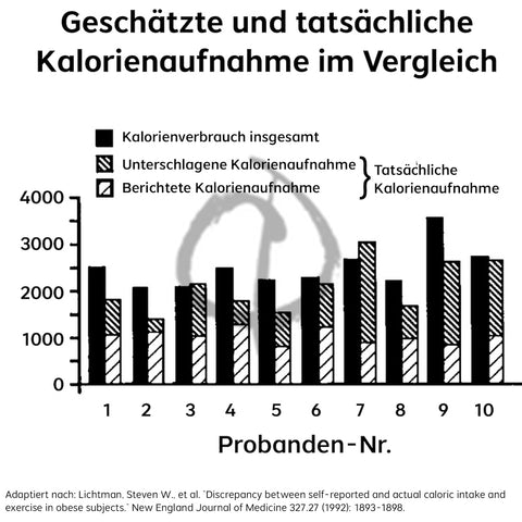 Ernährungstagebuch Adipositas