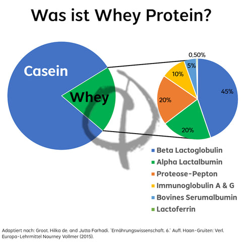Whey Protein test