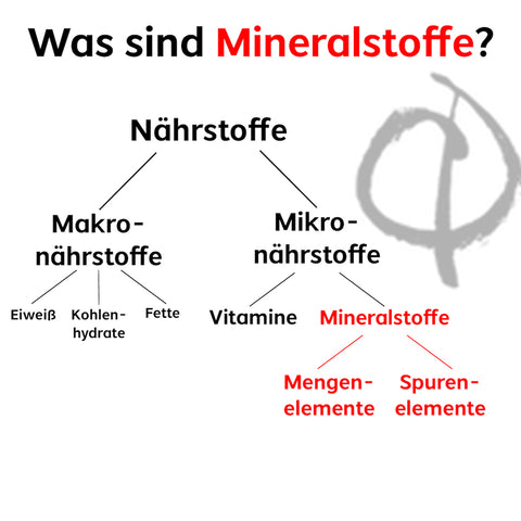 Was sind Mineralstoffe