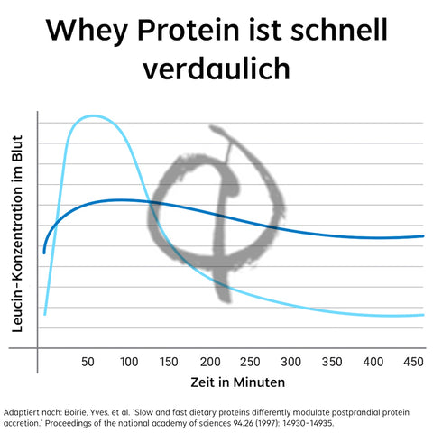 Whey Protein schnell