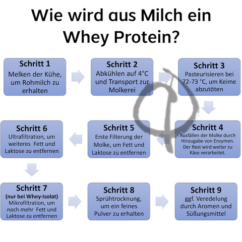 Whey Protein 1 kg