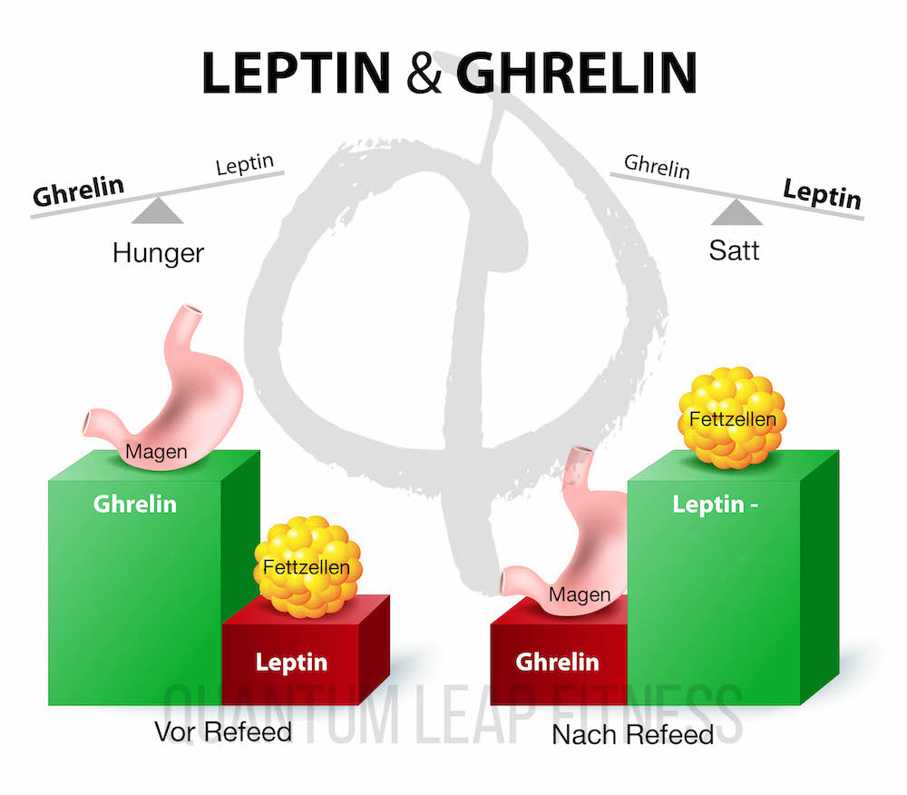 Hormones,Regulating,Appetite.,Leptin,The,Satiety,Hormone.,Ghrelin,The,Hunger