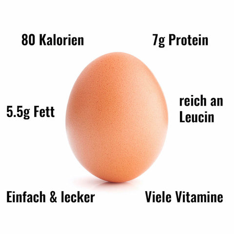 wie gesund sind eier