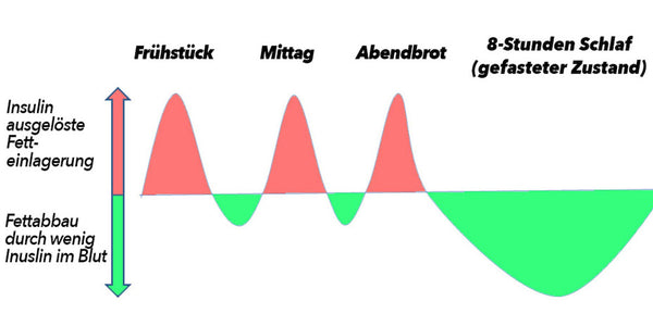 Insulinspiegel